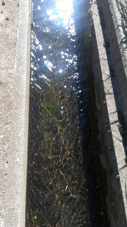 2012-08-21 08.14.34.jpg